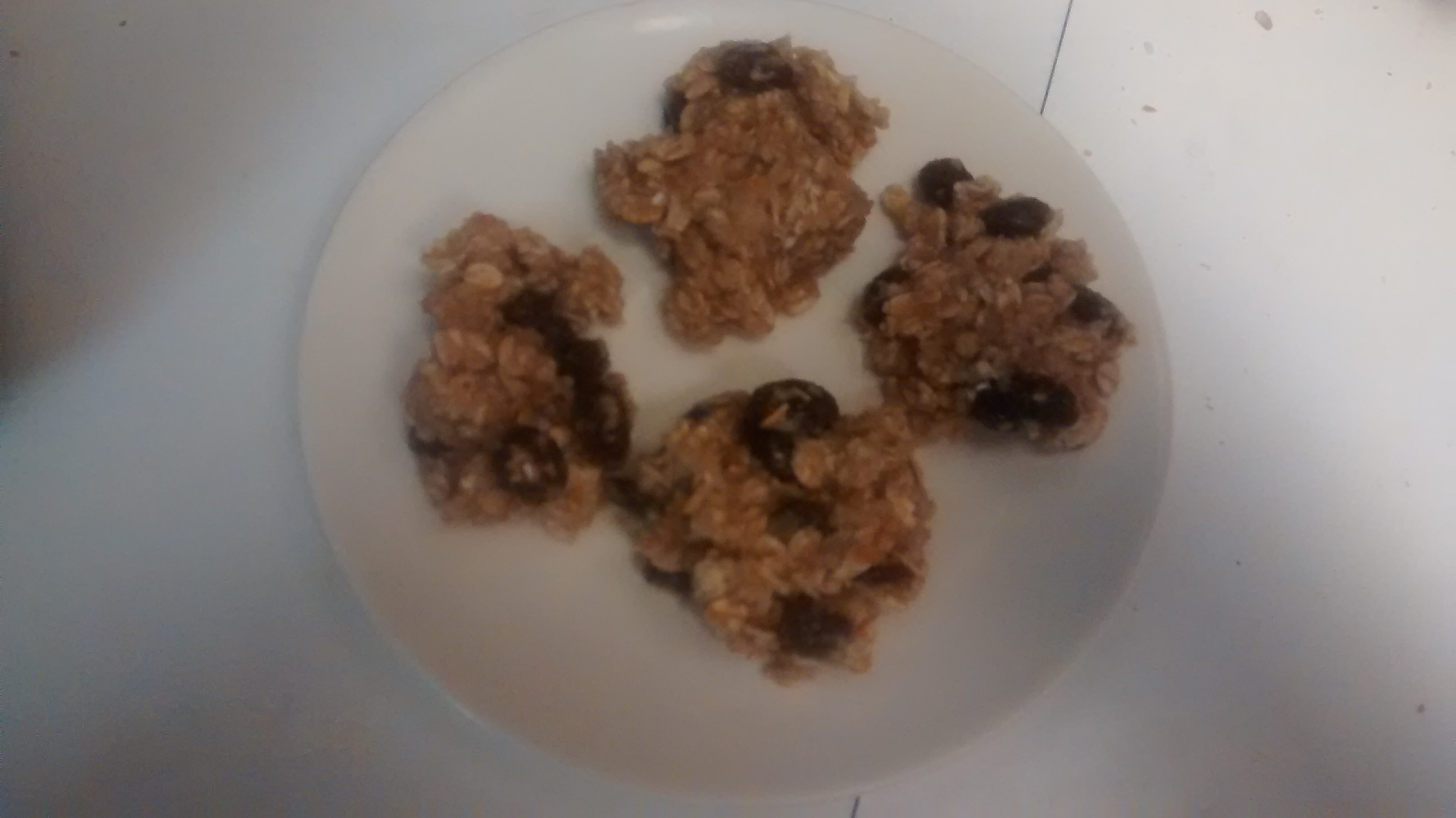 Picture of oatmeal raisin diabetic cookie recipe